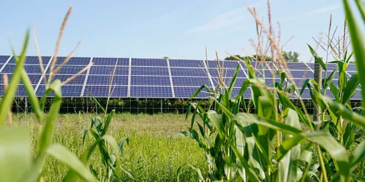Are-Solar-Panels-Worth-It-in-Pennsylvania1