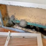 The-Ultimate-HVAC-Maintenance-Checklist