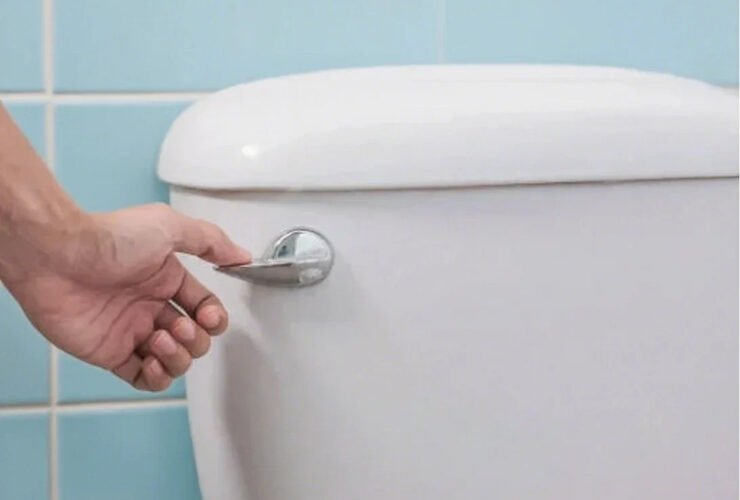 how-to-replace-a-toilet-handle-a-practical-homeown-1