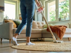 professional-flea-treatment-for-your-house-what-to-1