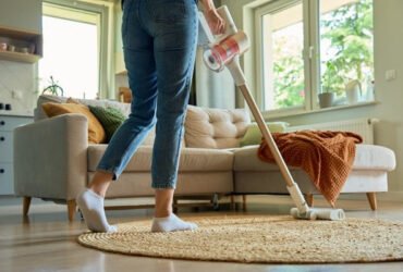 professional-flea-treatment-for-your-house-what-to-1