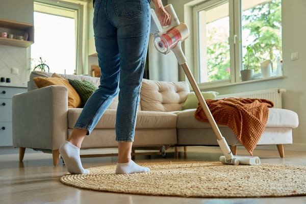 professional-flea-treatment-for-your-house-what-to-1